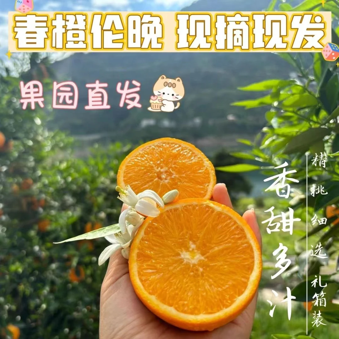 正宗伦晚脐橙现摘党纪新鲜橙子水果整箱包邮