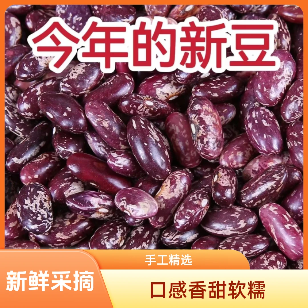 【2025年本地新豆】挑选贵州新豆贵州饱满四季豆酸菜豆米花芸豆花豆