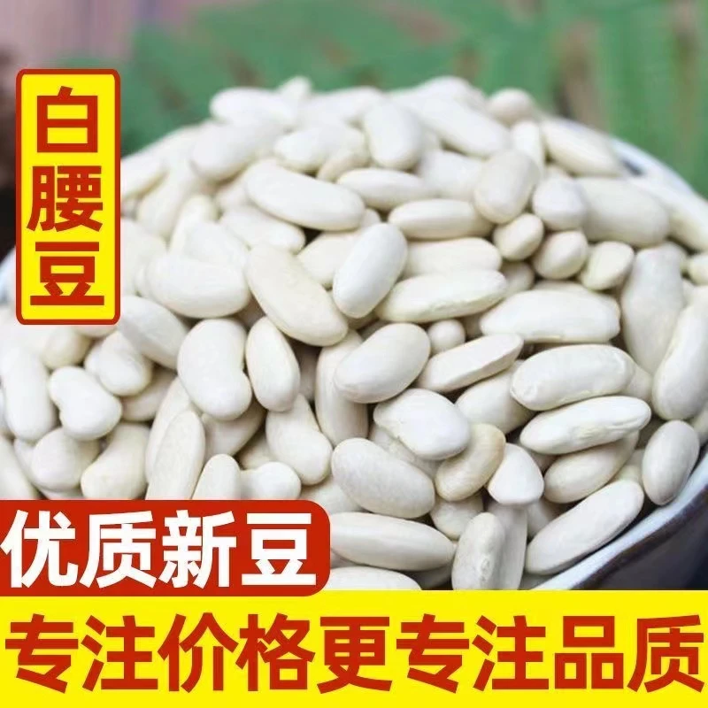 白腰豆新货贵州小白豆白腰豆农家自种白云豆豆类五谷杂粮粗粮散装