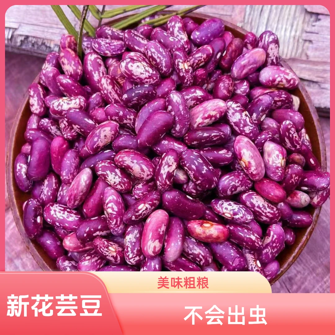 【不会出虫】贵州新花芸豆农家特产新花豆四季豆熬粥粗粮大花豆