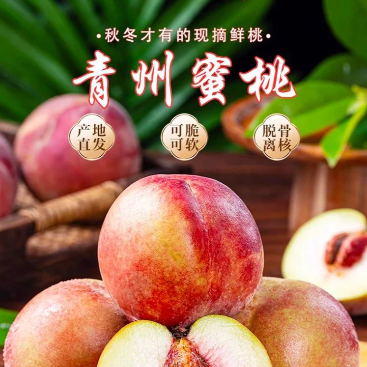 青州蜜桃脆甜桃子3-5斤冬雪蜜桃水果秋桃冬桃青毛桃水蜜桃毛桃