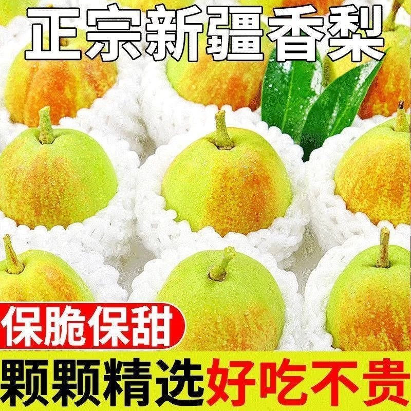 现发库尔勒香梨新鲜水果梨子3-9斤脆甜皮薄梨现摘现发整箱包邮