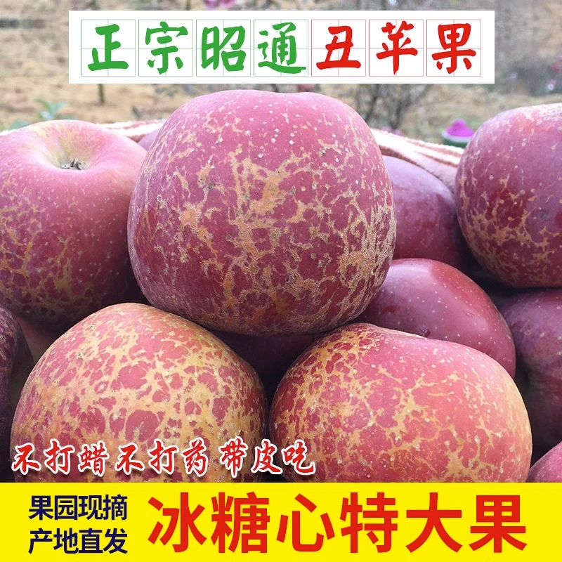 正宗丑苹果红露冰糖心口感脆甜多汁水果5斤新鲜整箱水果整箱包邮