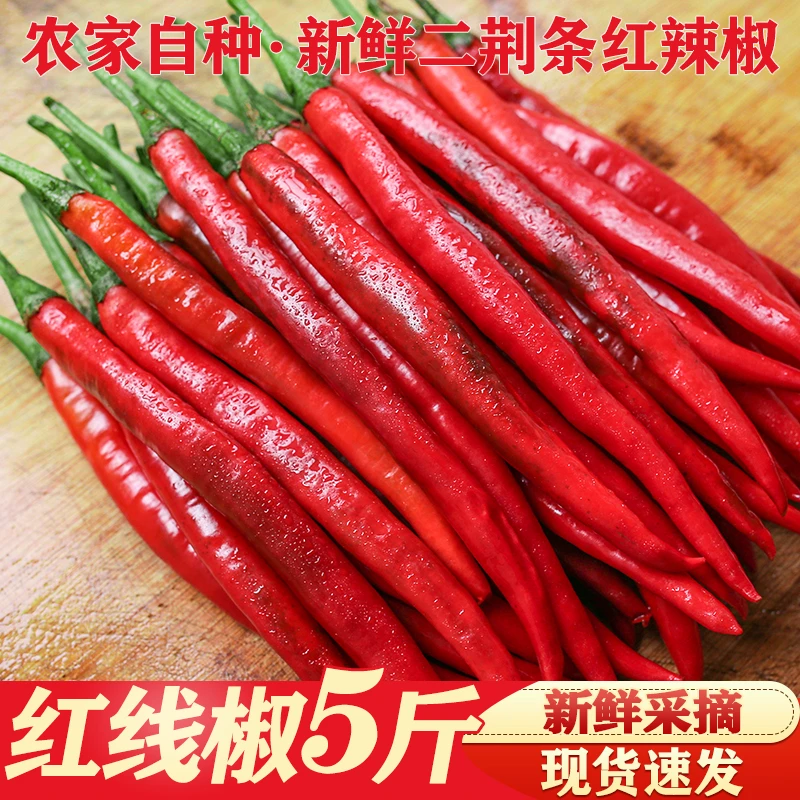 新鲜红辣椒二荆条红线椒尖椒中辣当季蔬菜1-5斤现摘泡剁椒包邮
