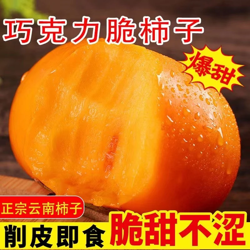 阳丰巧克力脆柿水果脆甜柿子2-9斤树上熟冰糖心柿子现摘整箱包邮