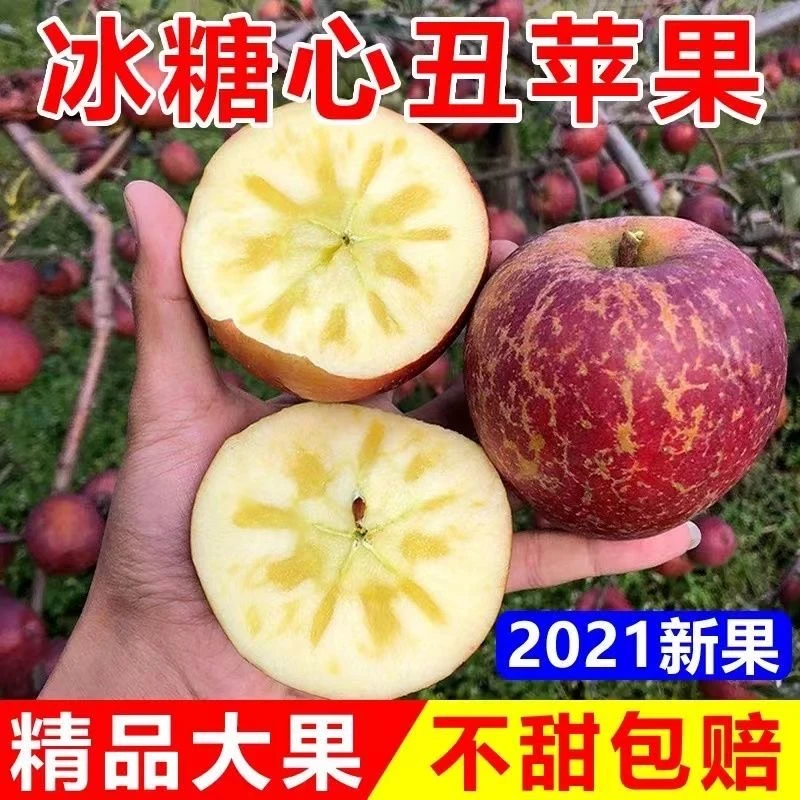 爆甜冰糖心丑苹果大凉山野生苹果水果新鲜丑苹果5斤整箱水果包邮