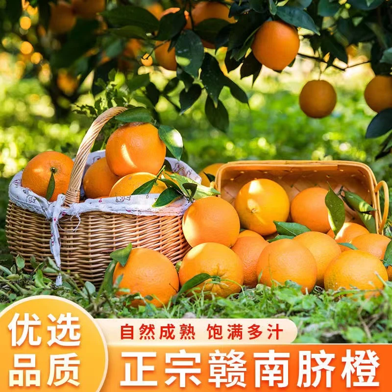 正宗手剥赣南脐橙应季3-9斤新鲜水果现摘产地直销现货整箱包邮