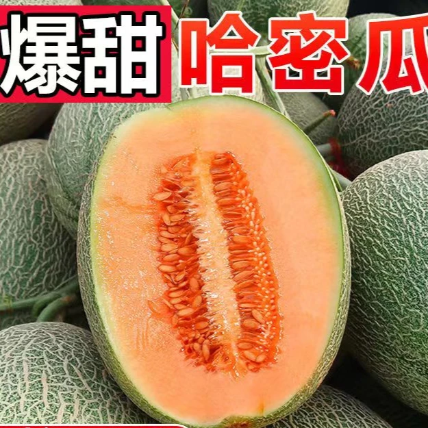 哈密瓜当季现发新鲜黄皮西州蜜3-9斤网纹瓜玫珑瓜哈密瓜整箱包邮