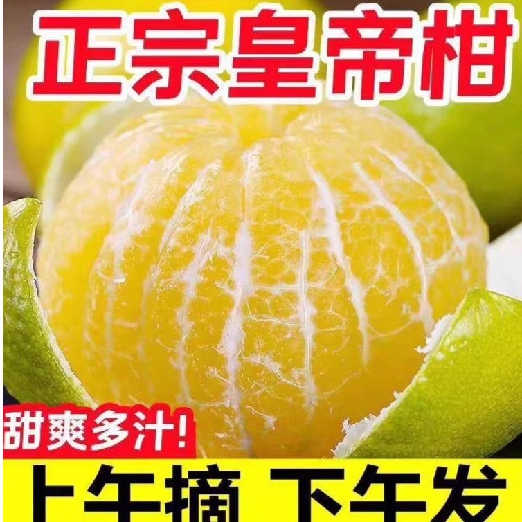 皇帝柑新鲜水果现摘蜜桔橘子贡柑纯甜砂糖桔3-9斤整箱包邮