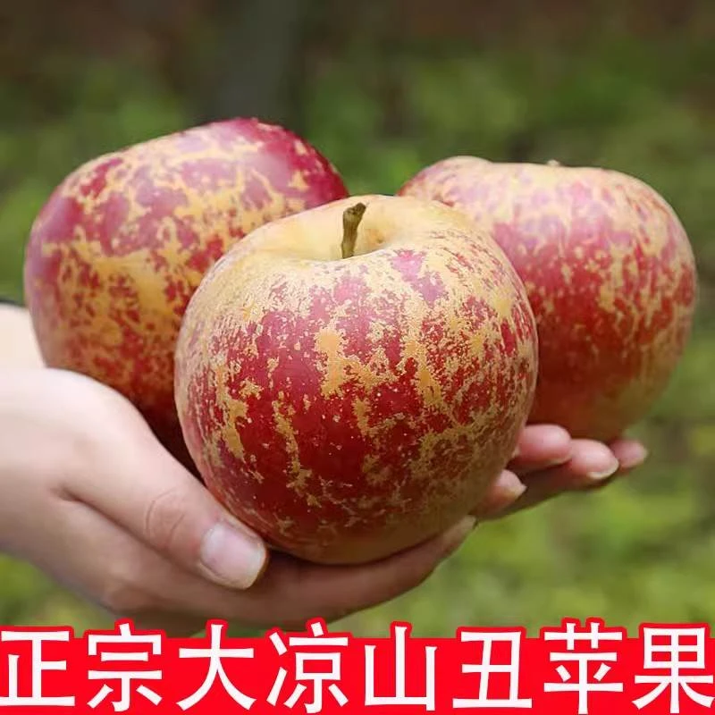 正宗丑苹果新鲜水果当季5斤现摘现发红富士冰糖心苹果整箱包邮
