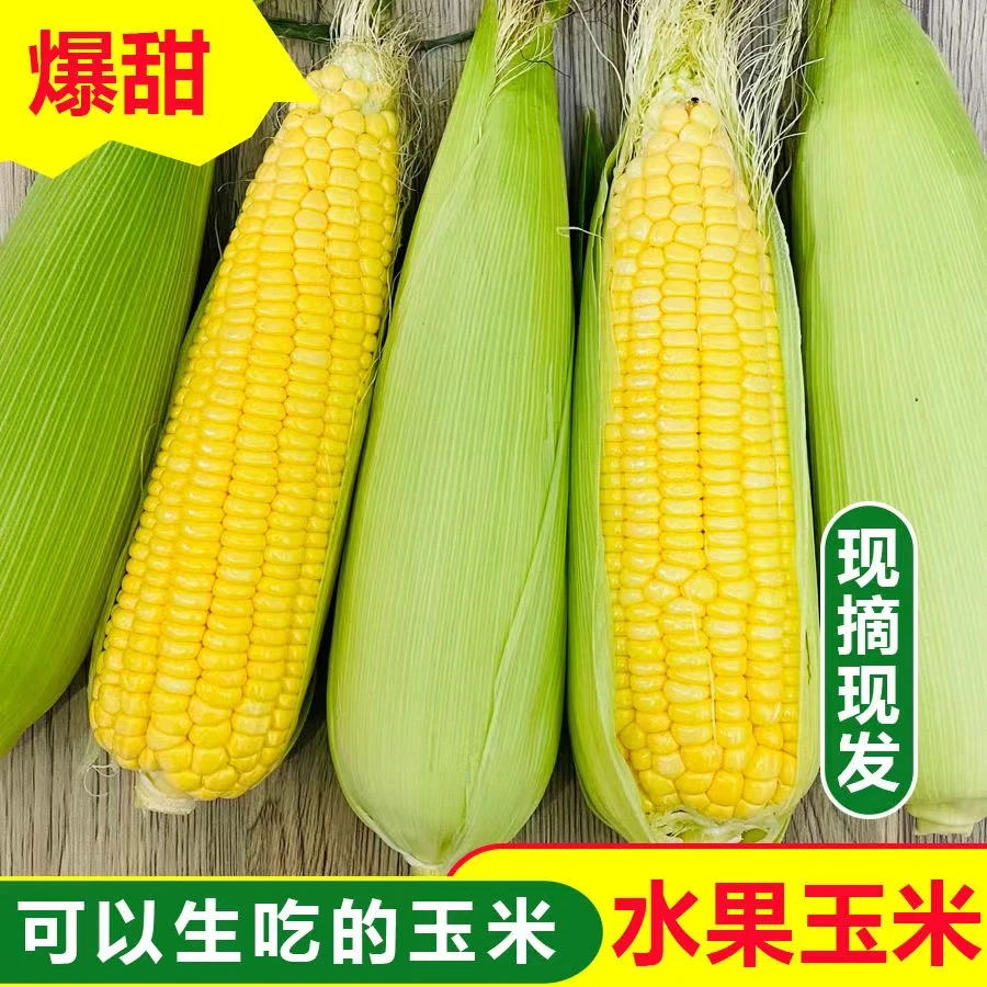 新鲜玉米水果甜脆农家3-9斤现摘金银苞谷腾冲玉米水果包邮即食