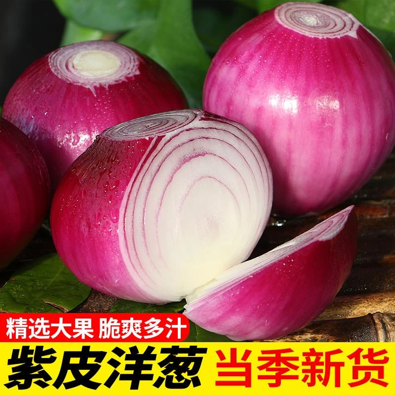 紫皮洋葱新鲜甜味生吃3-9斤圆葱小洋葱头大葱头蔬菜脆扁葱包邮