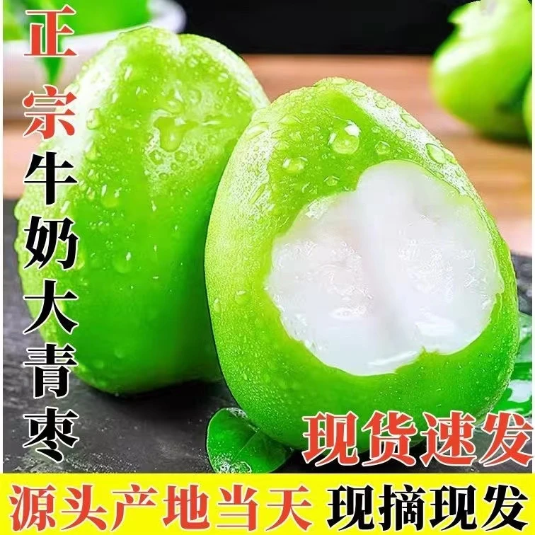 正宗贵妃蜜枣脆甜牛奶大青枣新鲜1-9斤当季水果苹果枣整箱包邮