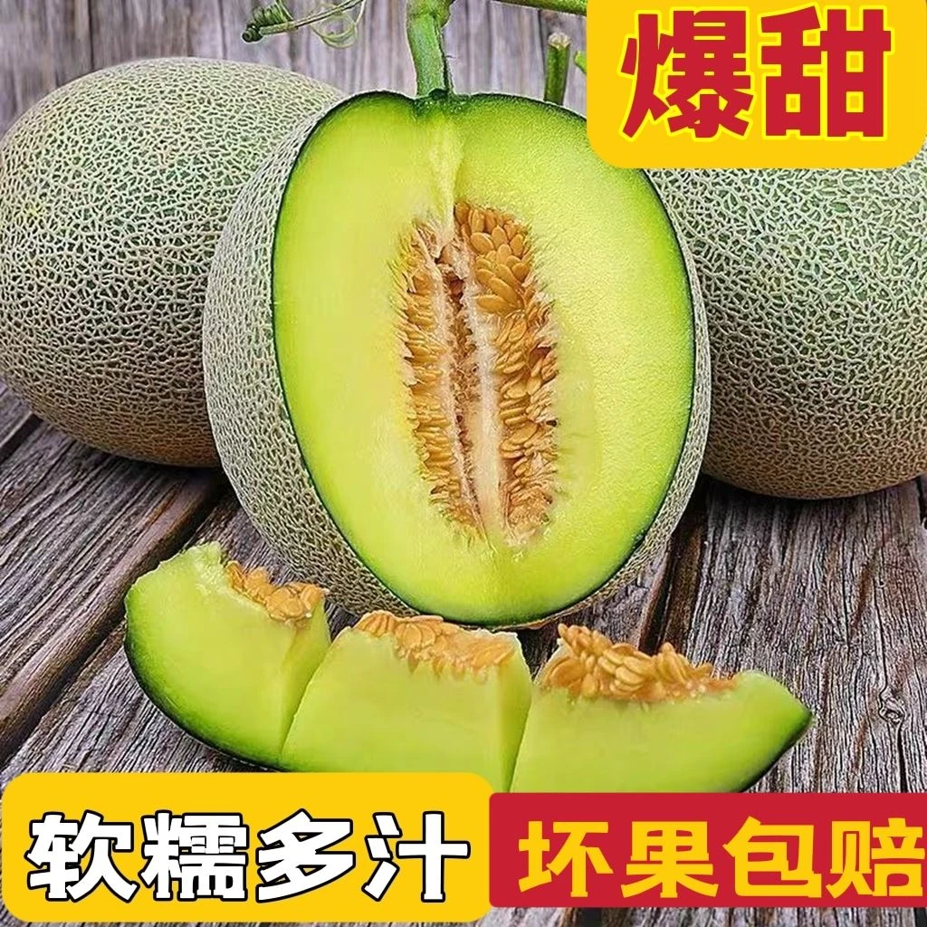 海南蜜瓜网纹瓜现发新鲜水果3-9斤哈密瓜甜瓜孕妇水果整箱包邮