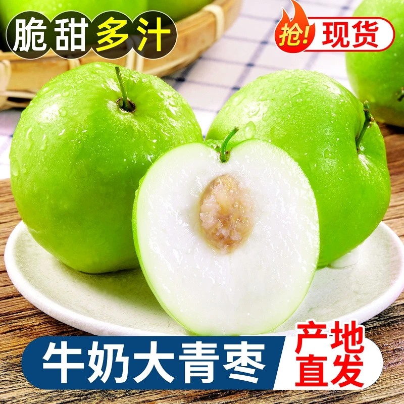 牛奶大青枣1-9斤当季水果甜牛奶枣子冬枣大枣新鲜孕妇整箱包邮