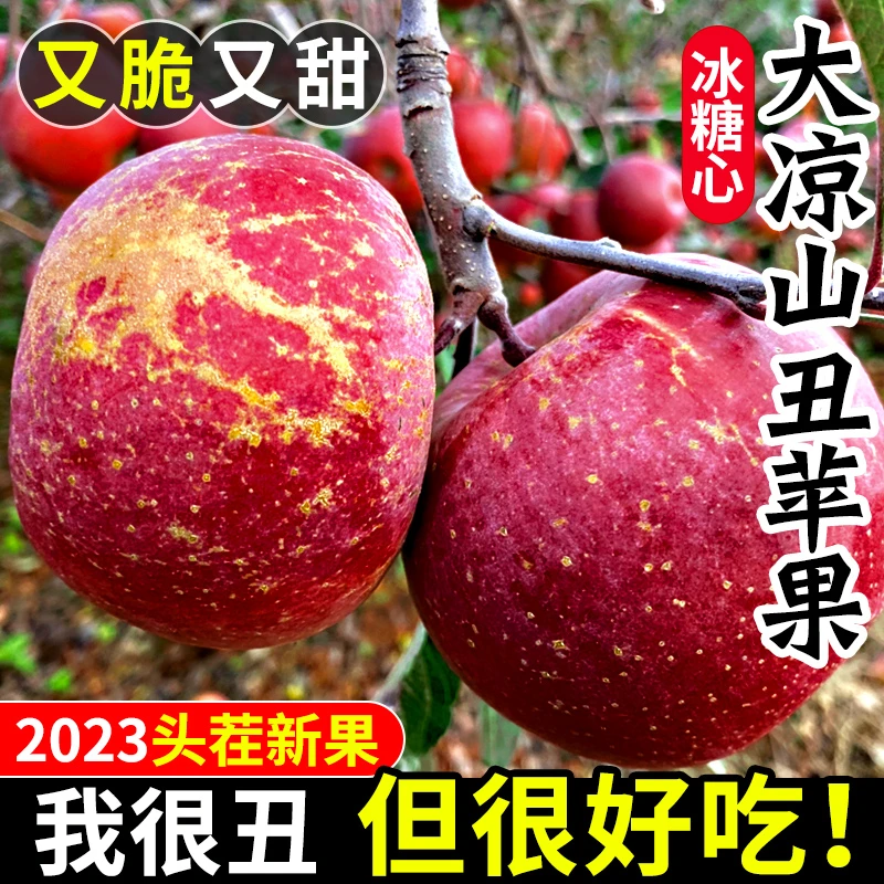 大凉山丑苹果5斤新鲜当季水果青盐源红富士冰糖心丑平果整箱包邮