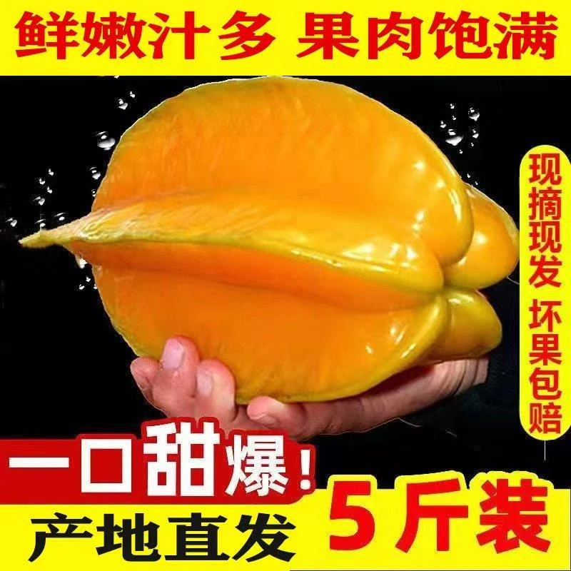 新鲜杨桃水果新鲜2-5斤现摘现发洋挑五角大果现摘现发整箱包邮
