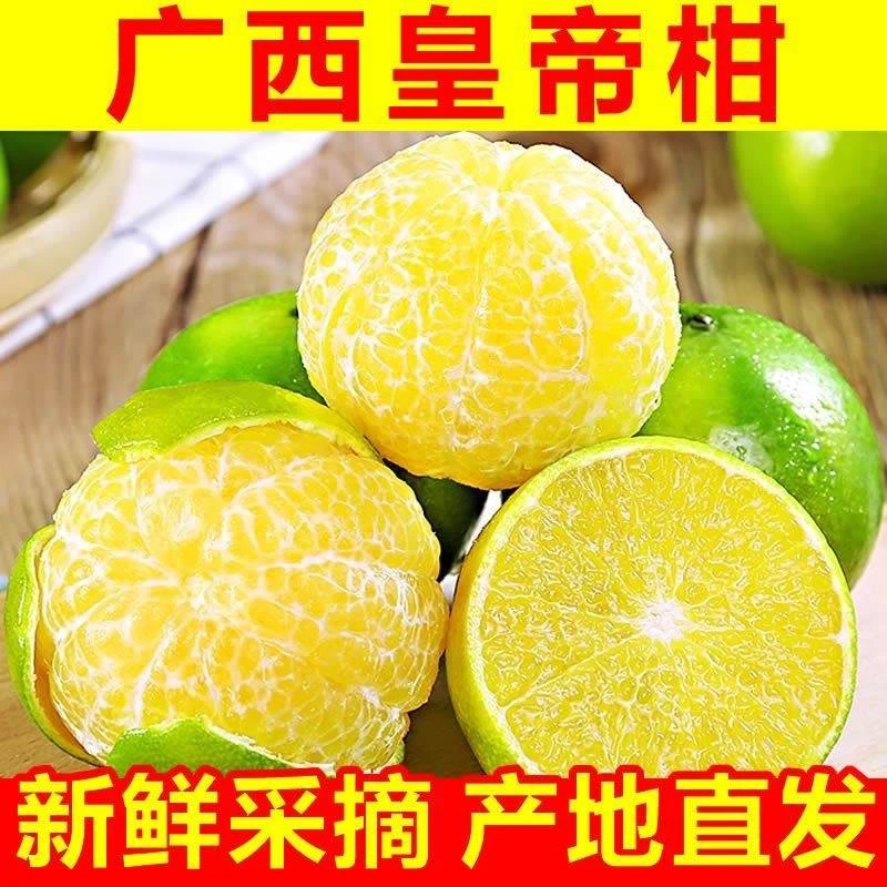 正宗皇帝柑大果橘子应季水果现发新鲜贡柑3-9斤蜜桔柑橘整箱包邮