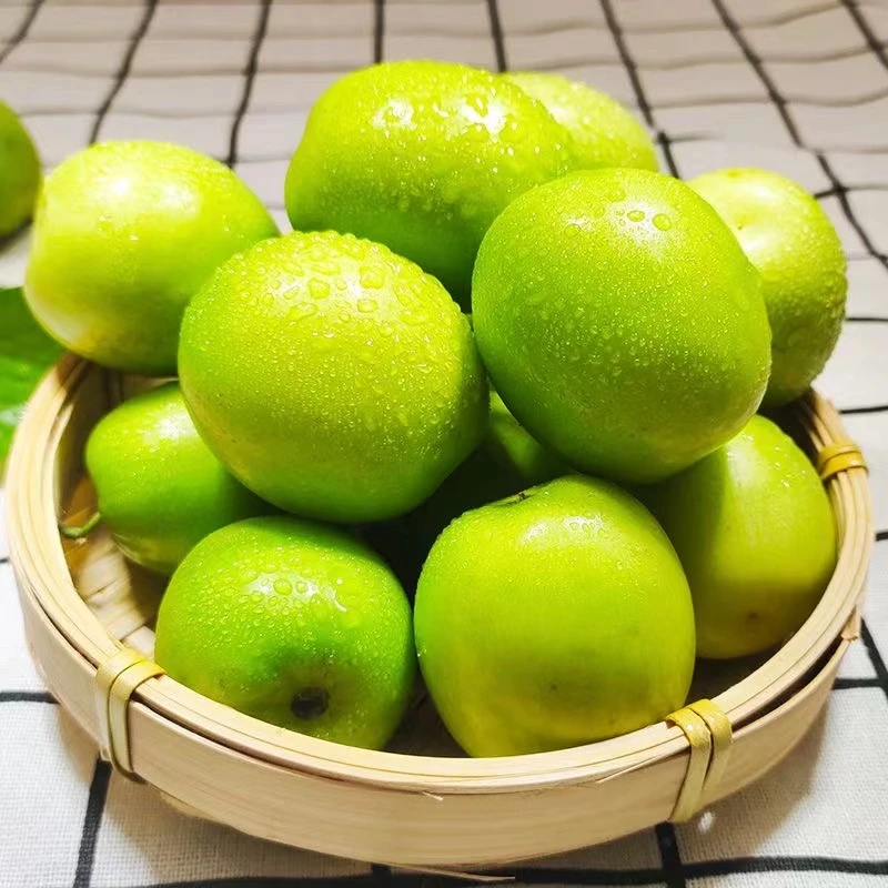 牛奶大青枣超甜1-9斤大枣新鲜现摘水果非大荔冬枣长枣整箱包邮
