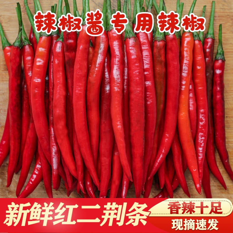 红二荆条辣椒1-5斤新鲜蔬菜红线椒尖椒中辣大红灯笼椒泰椒包邮