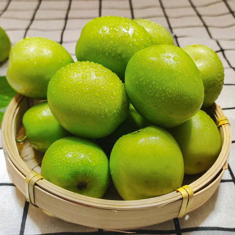 牛奶大青枣新鲜水果当季甜脆枣子蜜枣1-9斤牛奶枣大枣现摘包邮