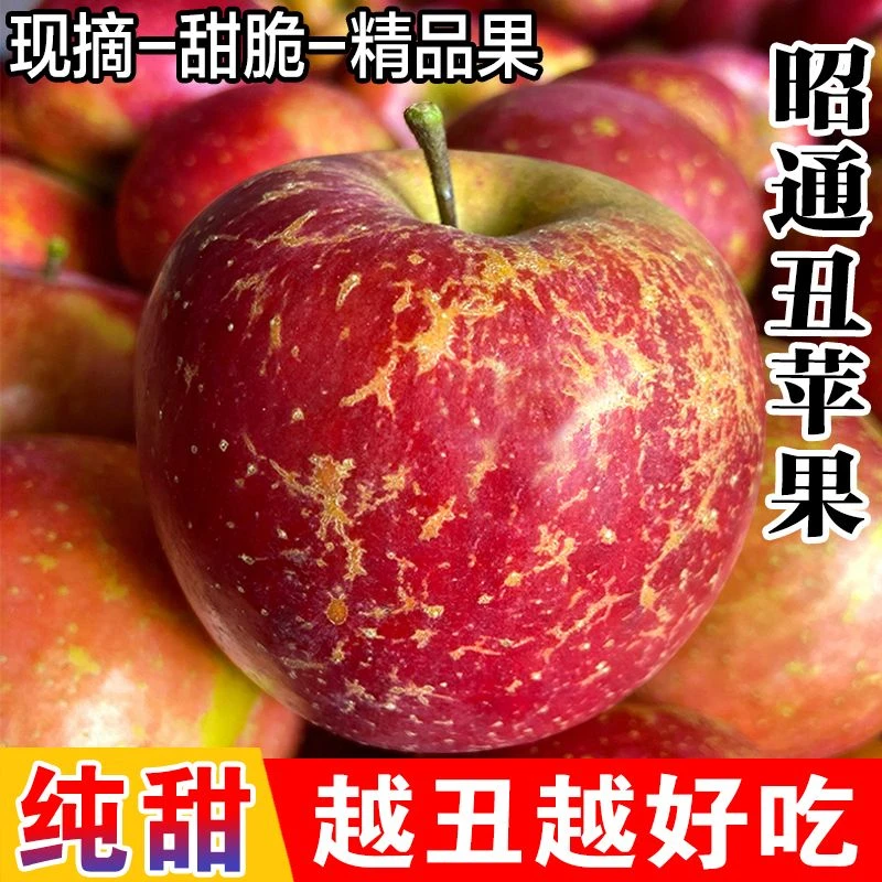 现摘丑苹果野生5斤新鲜冰糖心孕妇水果红露当季整箱包邮小苹果