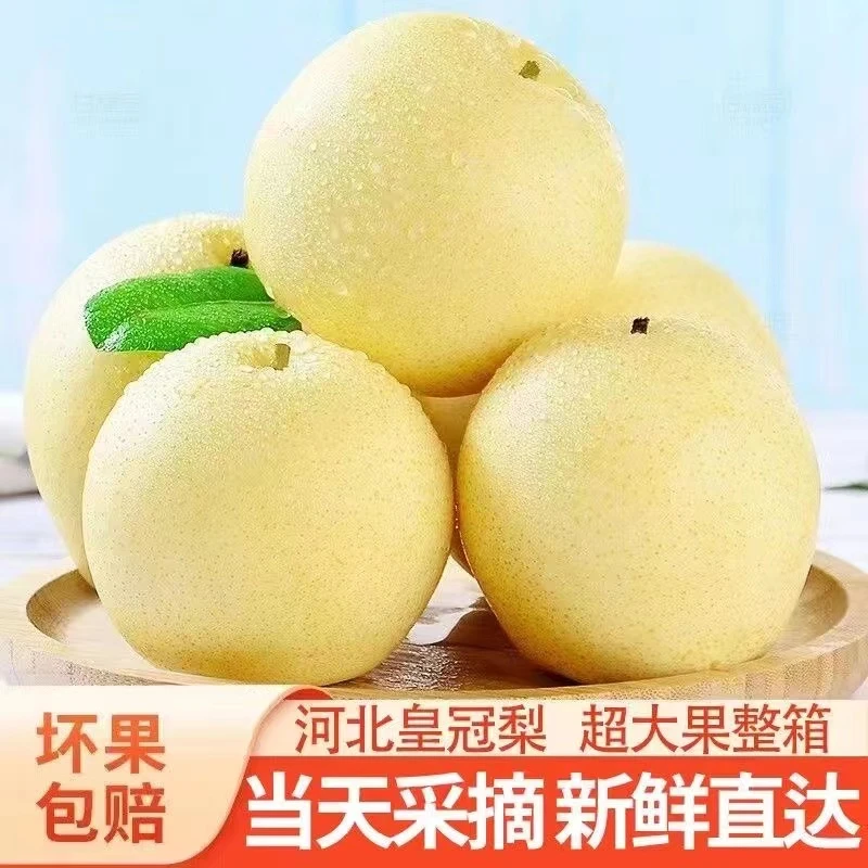 雪梨皇冠梨雪花梨水果新鲜梨子应季水果2-9斤整箱梨子薄皮酥梨
