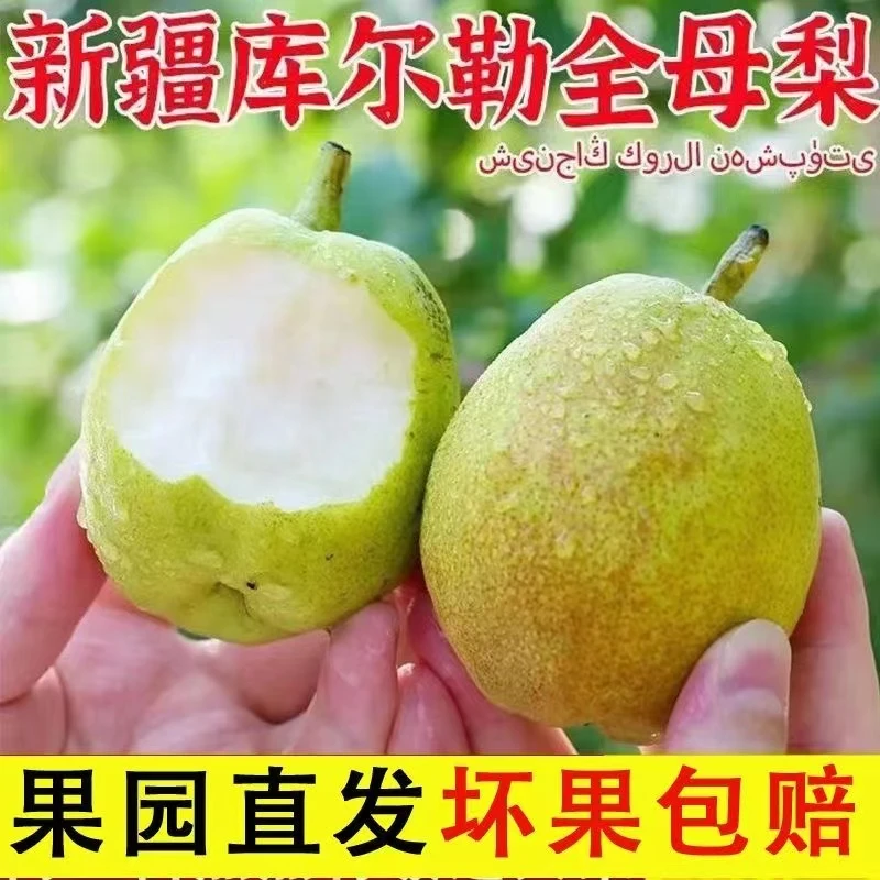 正宗香梨新鲜水果皮薄多汁梨子3-9斤源自库尔勒应当季整箱包邮