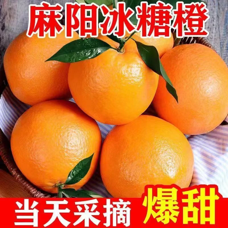 正宗冰糖橙麻阳冰糖橙3-9斤手剥甜橙子当季水果新鲜脐血整箱包邮