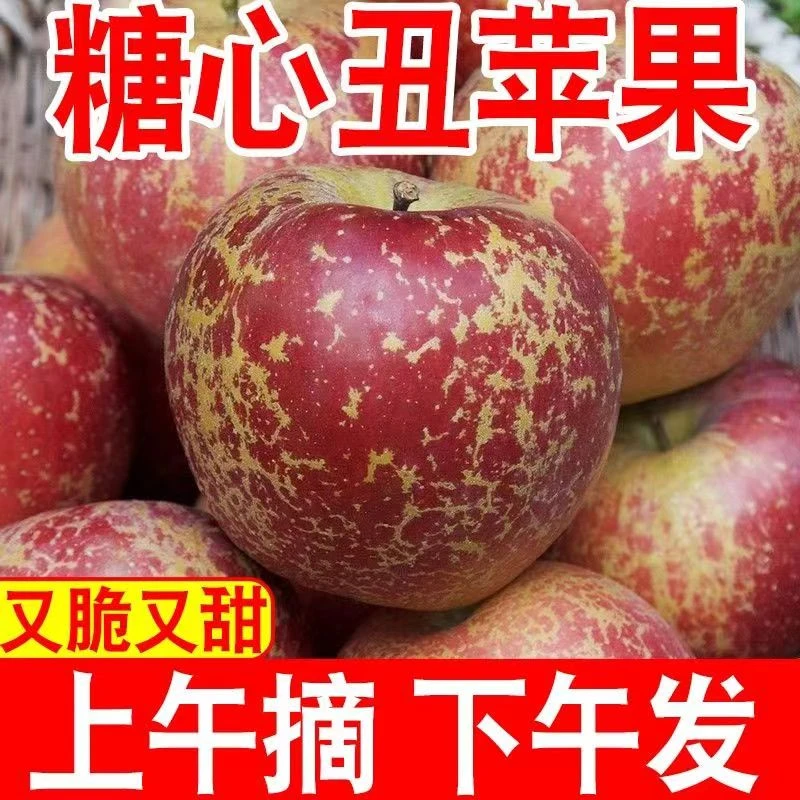 特色冰糖心丑苹果时令新鲜5斤红富士苹果孕妇水果整箱包邮平果