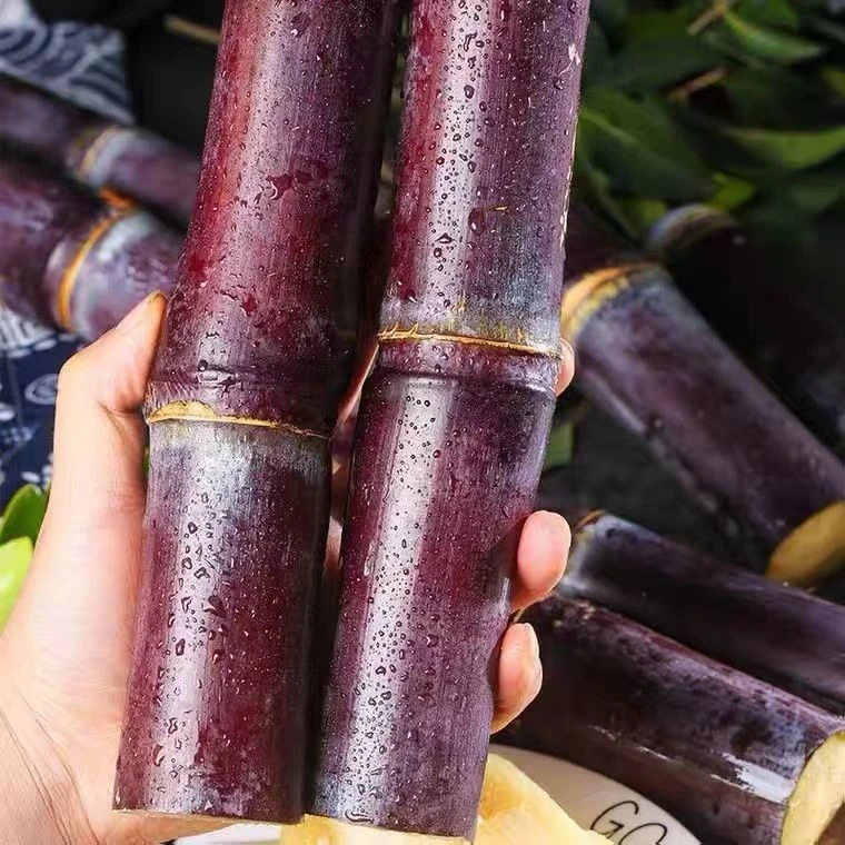 正宗黑皮甘蔗现砍现发新鲜应季3-9斤水果口感脆甜爆汁整箱包邮
