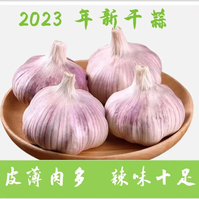 金乡大蒜正宗大蒜头干蒜现挖现发蒜头1-5斤大蒜头干蒜头整箱包邮