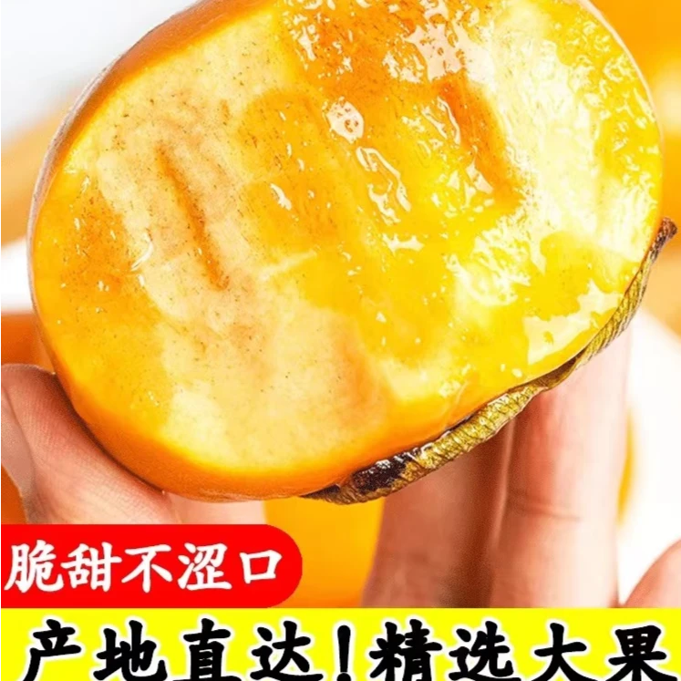 现摘现发巧克力脆柿子2-9斤新鲜水果冰糖心脆甜硬柿子整箱包邮