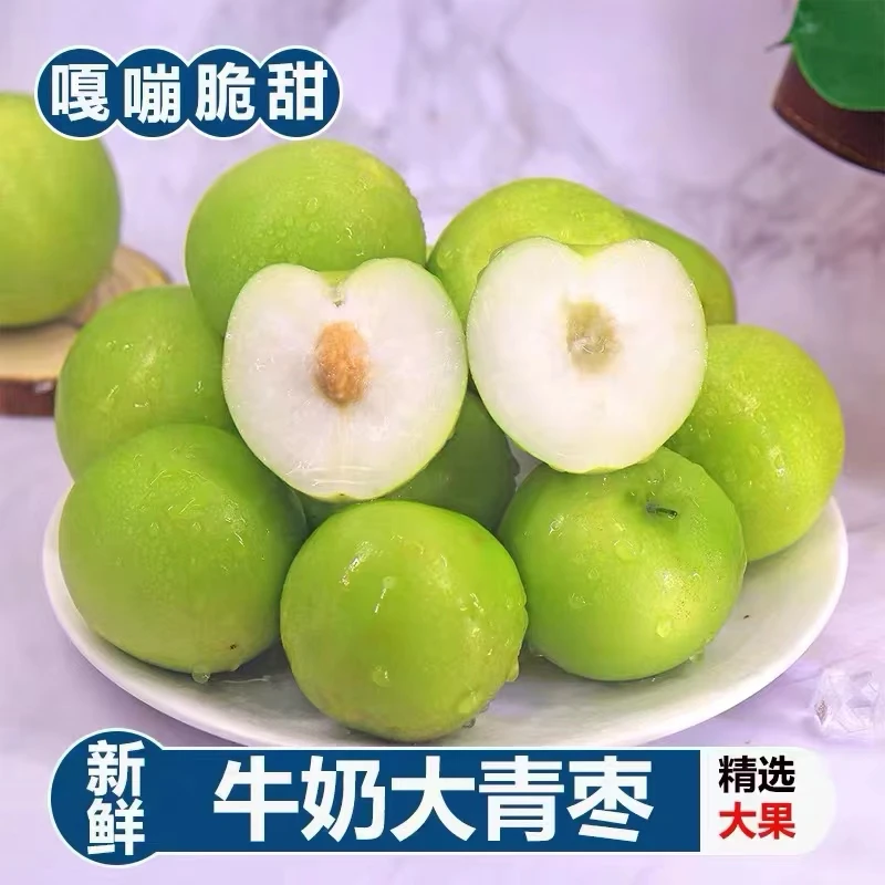 牛奶大青枣1-8斤当季现摘新鲜枣脆甜蜜枣贵妃冬枣孕妇大果包邮