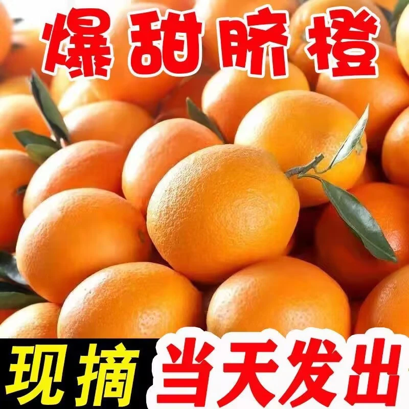 橙子新鲜正宗脐橙现摘现发3-9斤甜手剥应当季水果孕妇榨汁果冻橙