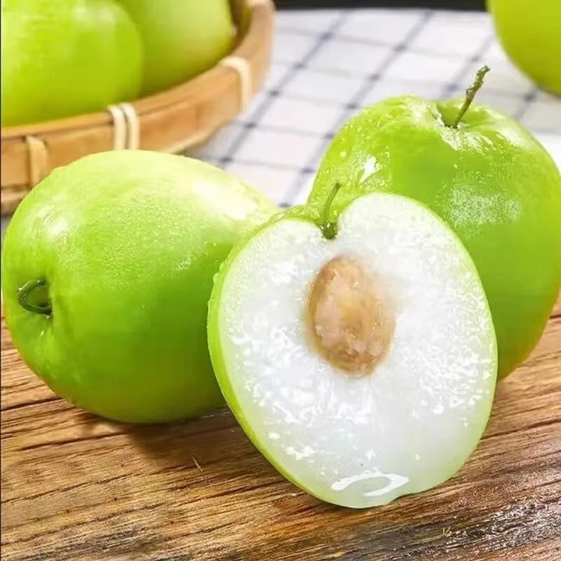 牛奶大青枣脆甜大枣新鲜现摘1-9斤水果整箱非大荔冬枣长枣包邮