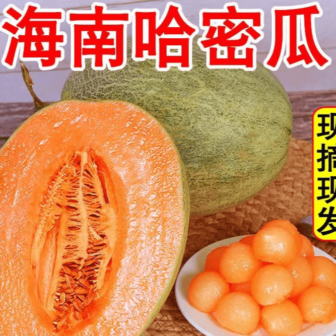甜蜜多汁海南哈密瓜3-9斤新鲜水果玫珑瓜西州蜜瓜网纹瓜整箱包邮