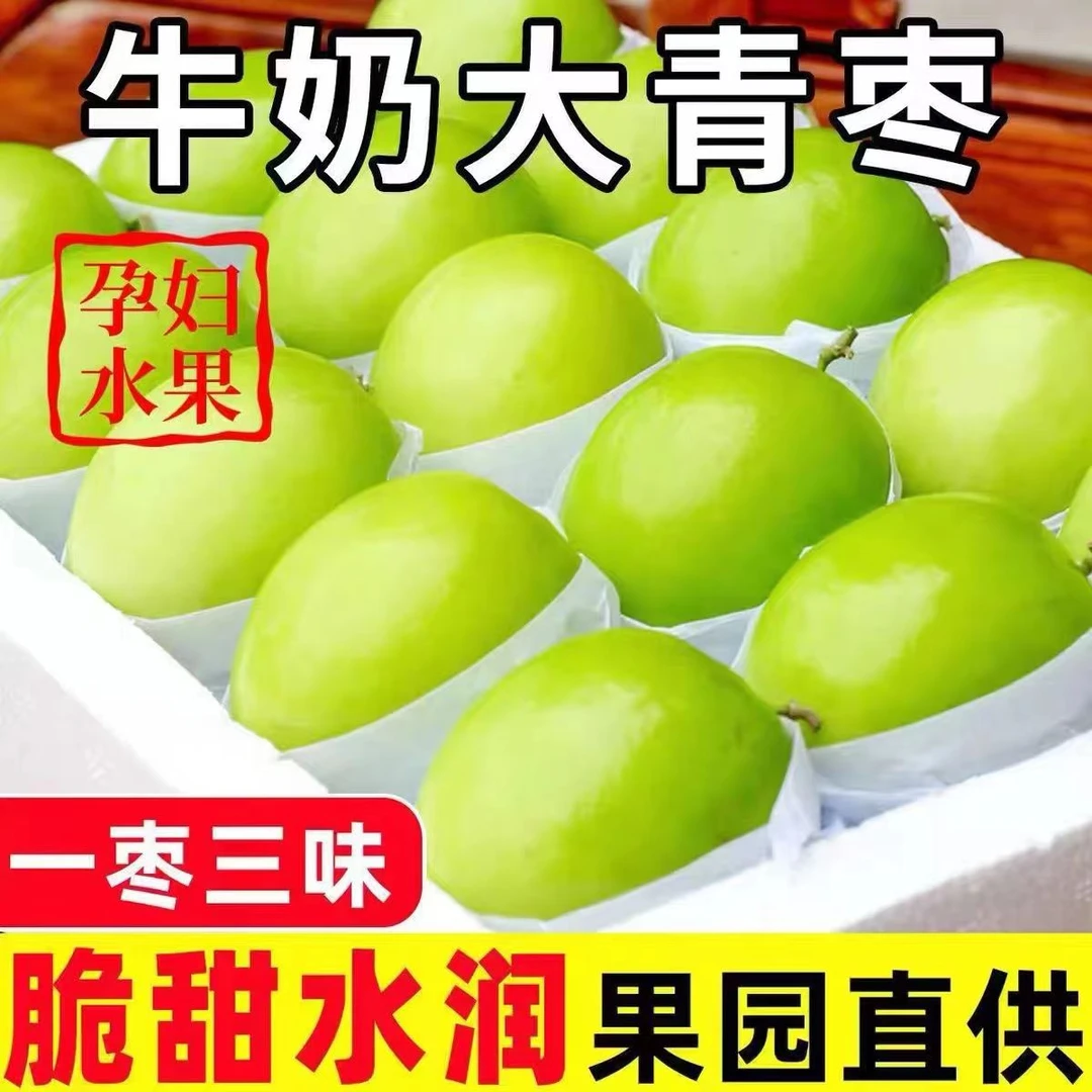牛奶大青枣大枣新鲜现摘1-9斤水果非大荔脆甜冬枣长枣整箱包邮