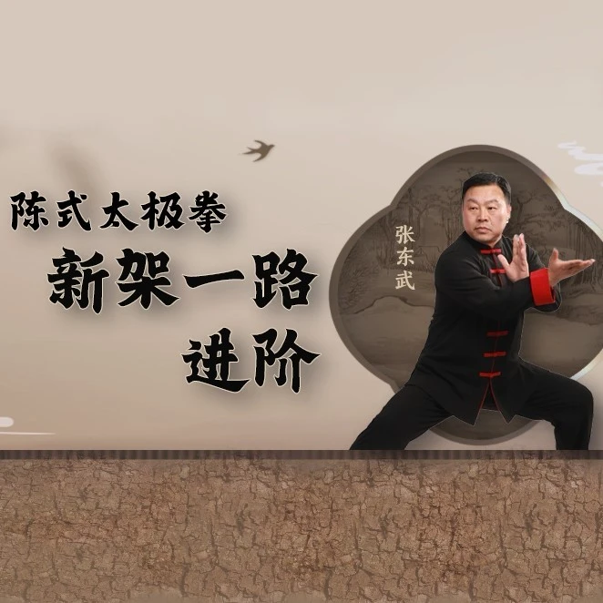 张东武·陈式太极拳新架一路进阶课