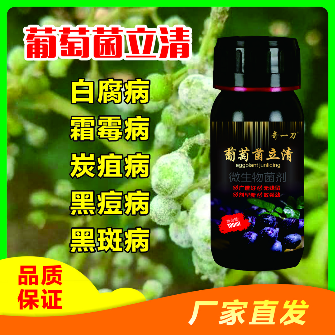 葡萄菌立清葡萄专打顽固溃疡病霜霉病灰霉病病害专打真细菌叶面肥