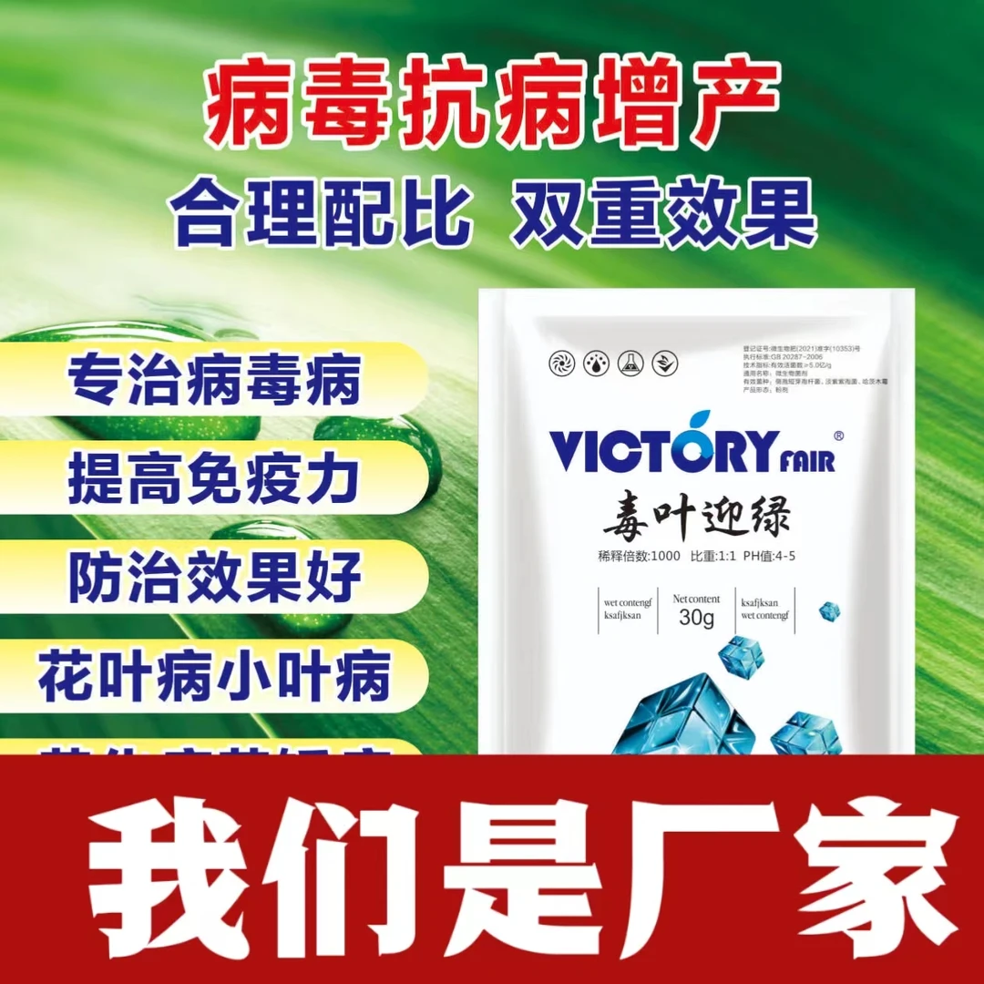 毒叶迎绿 病毒病 辣椒黄瓜西红柿葡萄 花叶卷叶小叶落叶增产防治