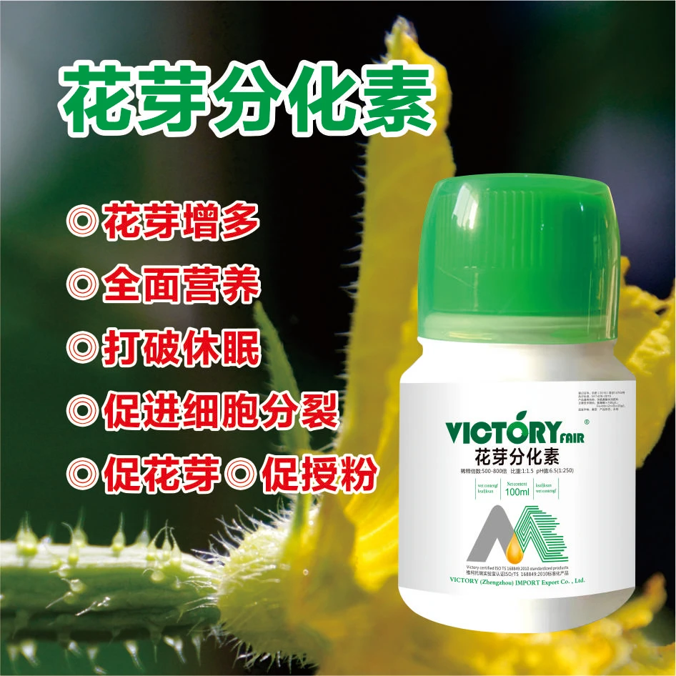 植物花芽分化素叶面肥促开花现蕾细胞分裂增甜美化果型