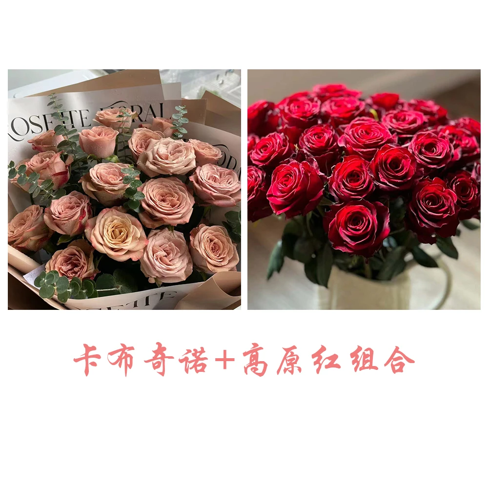 【20枝卡布奇诺+20枝高原红】超划算顺丰冷链包邮 基地鲜花现采现发