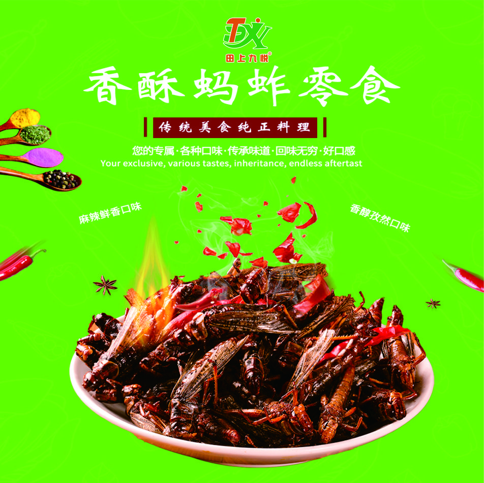 【皇上小铺】纯正油炸蚂蚱，麻辣鲜香，美味健康，营养丰富，当日发货。