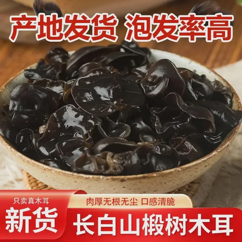 【精选】东北长白山春木耳小碗耳无根无沙椴树肉质厚饱满厚实无根沙