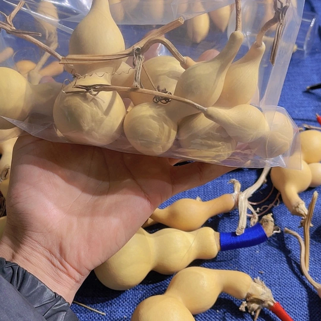【闪购商品】铜葫芦海***峰