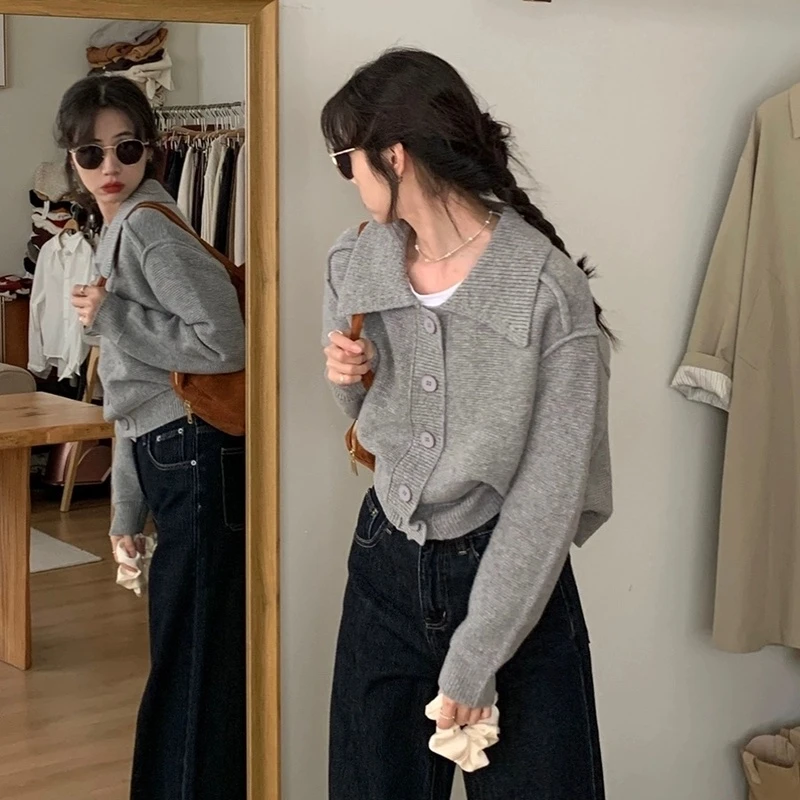 初秋 韩系灰色翻领毛衣女秋冬宽松慵懒风短款时尚针织开衫上衣