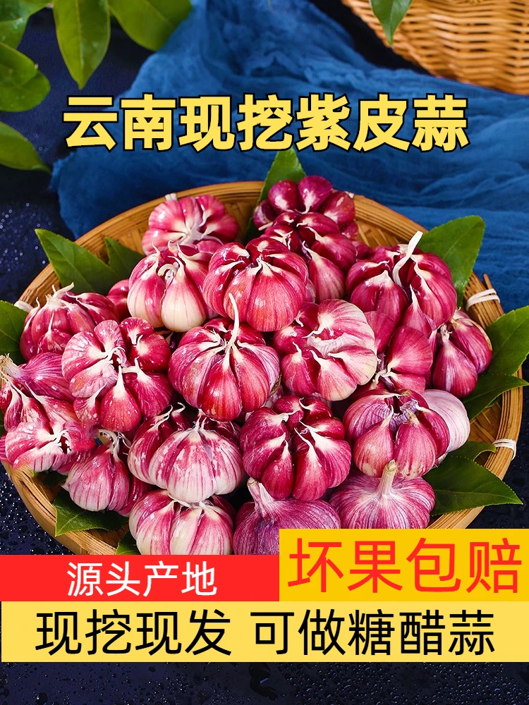 【现挖现发】自然脆爽调味发货香辣正宗云南紫皮大蒜新鲜头产地包赔