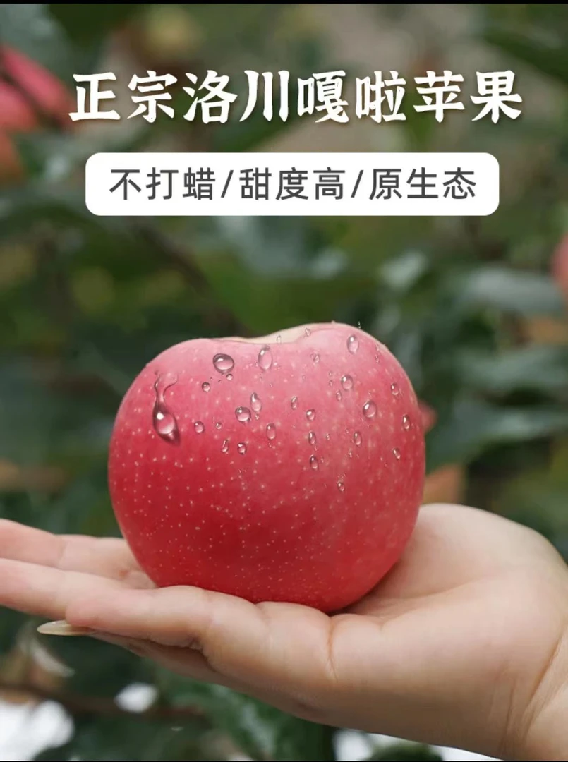 2024年新鲜采摘嘎啦洛川苹果整箱包邮脆甜爽口解腻皮薄肉厚多汁