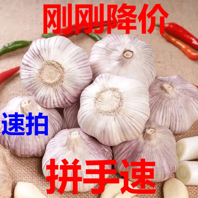 源头直发2024年新干蒜农家自种干蒜可吃可种高品质大蒜5斤
